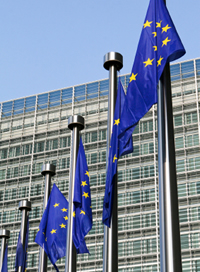 European Union Flags in Brussels