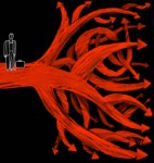 Illustration by Shutterstock