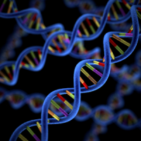 DNA