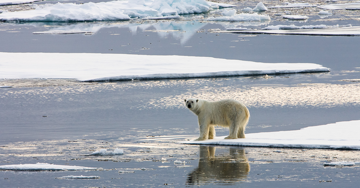 rising-sea-levels-and-a-falling-margin-of-safety