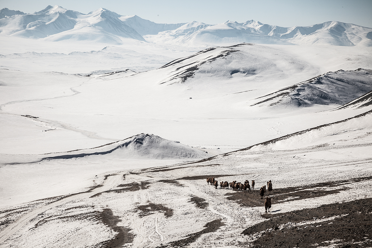 Kazakh Eagle Hunt Icy Snowscape