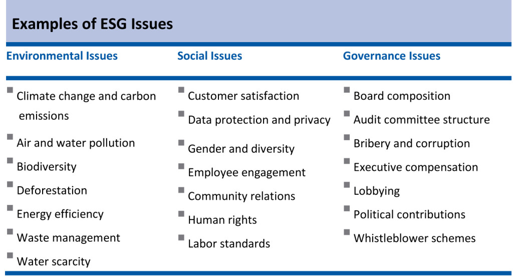 Examples of ESG Issues